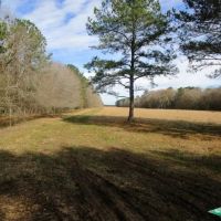 1294 ac - Ranch Development Potential Recreational Timberland