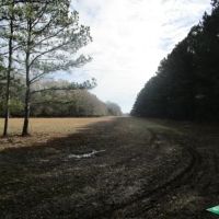 1294 ac - Ranch Development Potential Recreational Timberland images 2