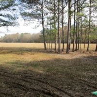1294 ac - Ranch Development Potential Recreational Timberland images 3