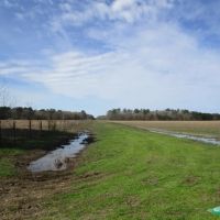 1294 ac - Ranch Development Potential Recreational Timberland images 4