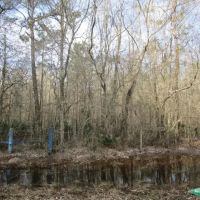 1294 ac - Ranch Development Potential Recreational Timberland images 5
