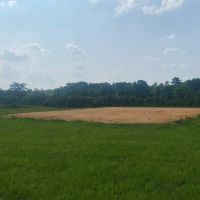 34.9 Acres Lincoln County MS Pasture Property For Sale images 4