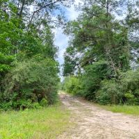 Seller Financing 16 Acres Old Arco Road A-13 Silsbee Stake images 1