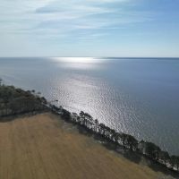 963.82 acres of multi-use Land For Sale in Chowan County NC images 3