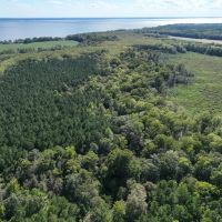 963.82 acres of multi-use Land For Sale in Chowan County NC images 4