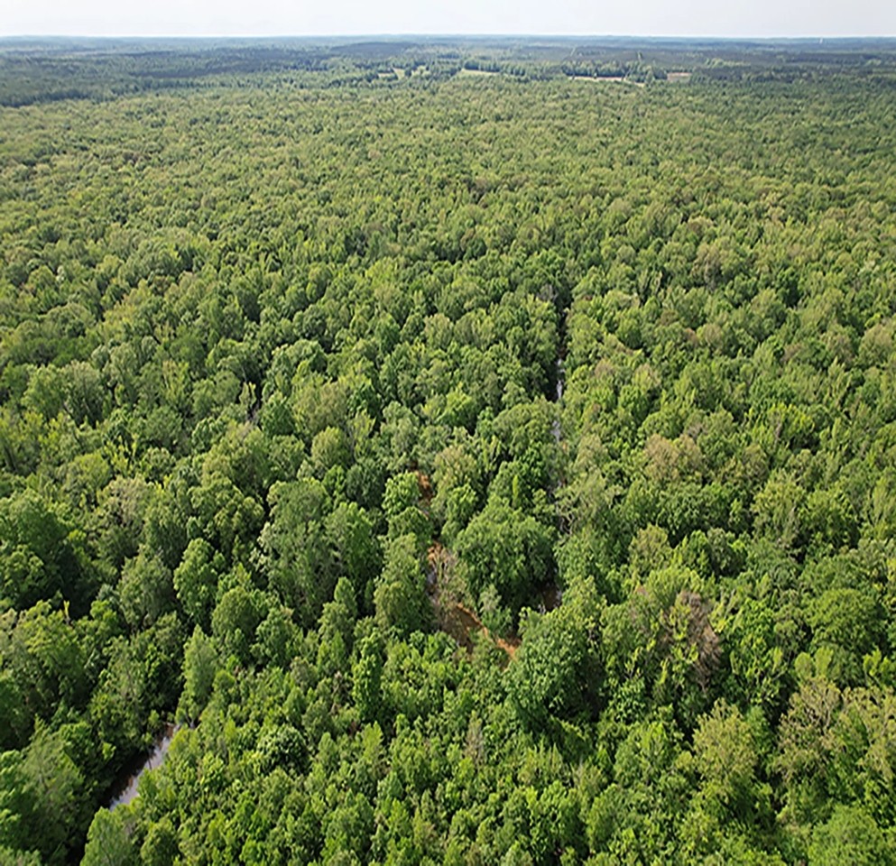 1 Equity Share in Montgomery County in Stewart MS Jack s Slough Hunting Club featured image