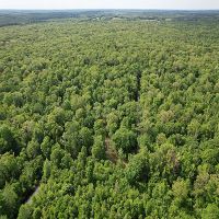 1 Equity Share in Montgomery County in Stewart MS Jack s Slough Hunting Club