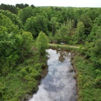1 Equity Share in Montgomery County in Stewart MS Jack s Slough Hunting Club images 2