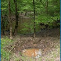 1 Equity Share in Montgomery County in Stewart MS Jack s Slough Hunting Club images 4