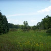 Trophy Whitetail Deer Hunting Property Columbia County WI