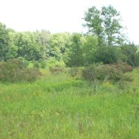 Trophy Whitetail Deer Hunting Property Columbia County WI images 2