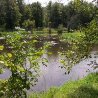 Trophy Whitetail Deer Hunting Property Columbia County WI images 3