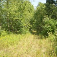 Trophy Whitetail Deer Hunting Property Columbia County WI images 4