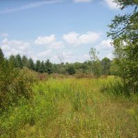 Trophy Whitetail Deer Hunting Property Columbia County WI images 5