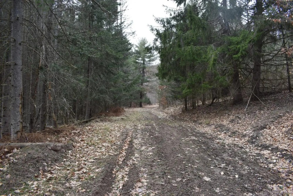 Appalachian Adventure featured image