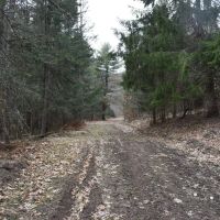 Appalachian Adventure