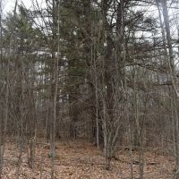 Appalachian Adventure images 3