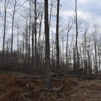Appalachian Adventure images 5