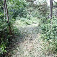 Union Hill Rd - 41 acres - Guernsey County images 3