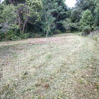 Union Hill Rd - 41 acres - Guernsey County images 4