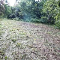 Union Hill Rd - 41 acres - Guernsey County images 5