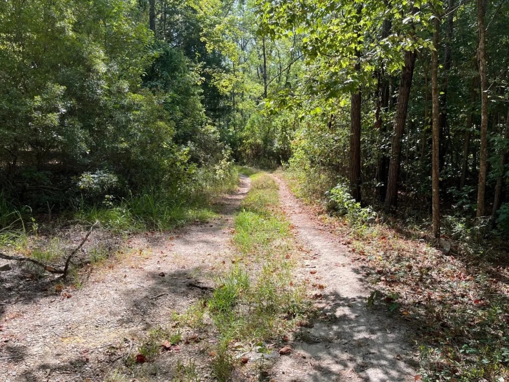 Lenard Tract Ouachita Parish 30 Acre - featured image
