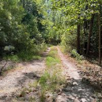 Lenard Tract Ouachita Parish 30 Acre -