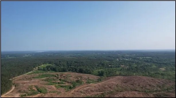 125.4 Acres in Lafayette County in Oxford MS featured image