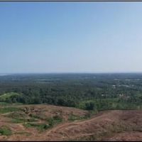 125.4 Acres in Lafayette County in Oxford MS