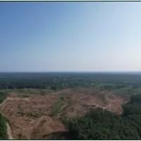 125.4 Acres in Lafayette County in Oxford MS images 3
