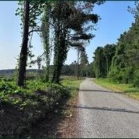 125.4 Acres in Lafayette County in Oxford MS images 4
