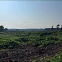 125.4 Acres in Lafayette County in Oxford MS images 5