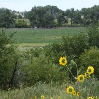 Rivervale Farm images 2