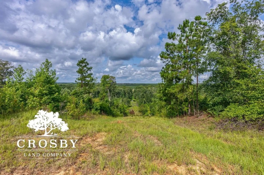 Rocky Comfort Creek Hunting Land for Sale