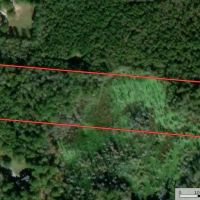 MARKET BASED PRICE IMPROVEMENT 10.39 Acres of Residential Hunting Land in Isle of Wight County VA