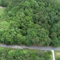 MARKET BASED PRICE IMPROVEMENT 10.39 Acres of Residential Hunting Land in Isle of Wight County VA images 2