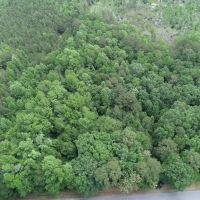 MARKET BASED PRICE IMPROVEMENT 10.39 Acres of Residential Hunting Land in Isle of Wight County VA images 3