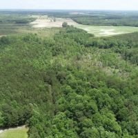 MARKET BASED PRICE IMPROVEMENT 10.39 Acres of Residential Hunting Land in Isle of Wight County VA images 4
