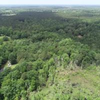 MARKET BASED PRICE IMPROVEMENT 10.39 Acres of Residential Hunting Land in Isle of Wight County VA images 5