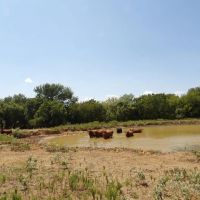 Butterfield Crossing Ranch Johnston Atoka images 4