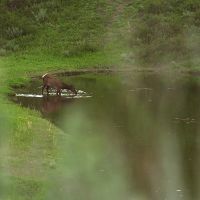Williams Park Ranch images 3