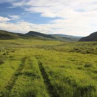 Williams Park Ranch images 4