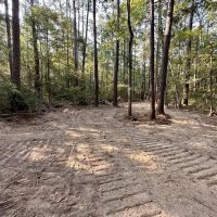 34.12 Acres Timberland Hunting Land for Sale Southeast LA images 4