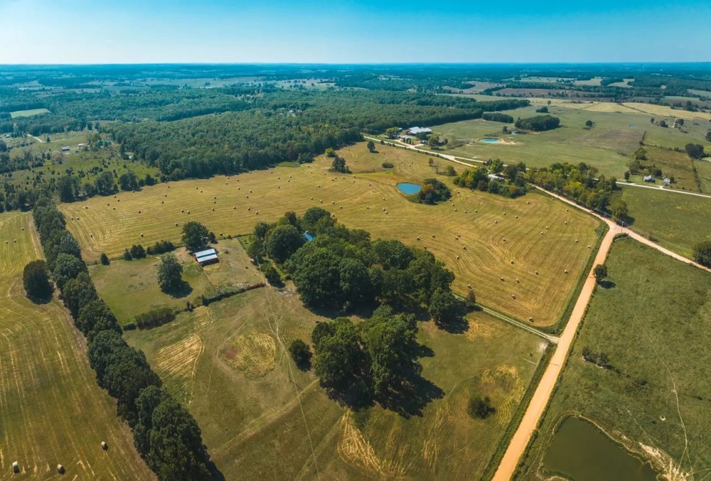 Magnolia Meadows featured image