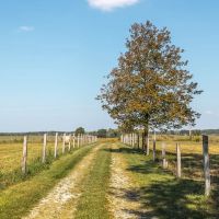 Magnolia Meadows images 4