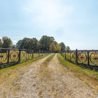 Magnolia Meadows images 5