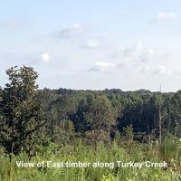 66-128-highway-59-tract images 2