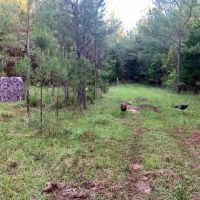 66-128-highway-59-tract images 3