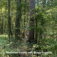 66-128-highway-59-tract images 4