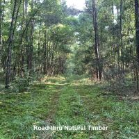 66-128-highway-59-tract images 5